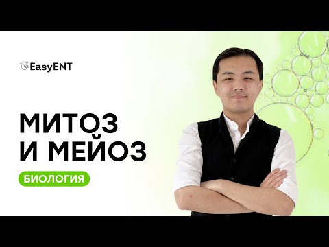 Видео: Митоз и Мейоз - Пробный урок по Биологии | EasyENT