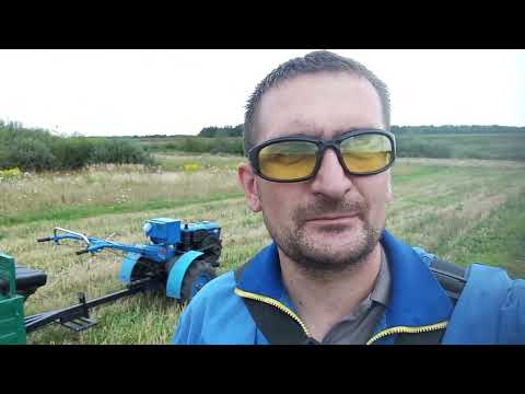 Видео: Життя в селі. Як я готую поле картоплі до копання копачкою-трусилкою від мотоблоку.