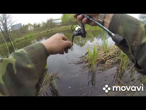 Видео: Мормышинг. Ловля рыбы на разные приманки.