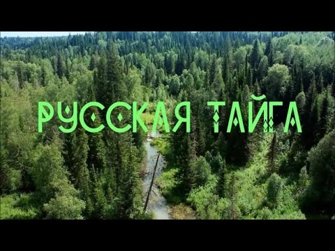 Видео: 🆕🌲Farming Simulator 22🌲 I ПОКОРИТЬ РУССКУЮ ТАЙГУ I НАЧАЛО # 01🌲🌾 ⛏️ #fs22 #фс22 #farmingsimulator22