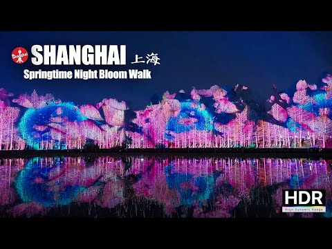 Видео: Весенняя ночная прогулка - Прогулка по Шанхаю - 4K HDR - 上海 顾村公园