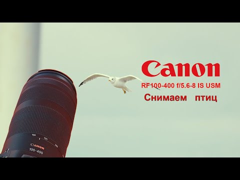Видео: Canon RF 100-400 f/5.6-8 IS USM - снимаем птичек (часть 2)
