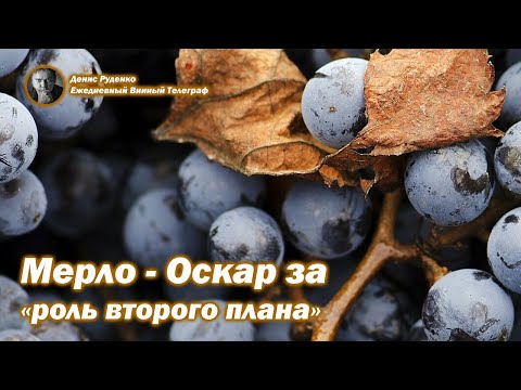 Видео: Мерло - Оскар за "роль второго плана"