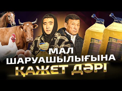 Видео: 150 тгге жасап, 1500тг ге сатасыз. Мал шаруашылығына қажет дәрі