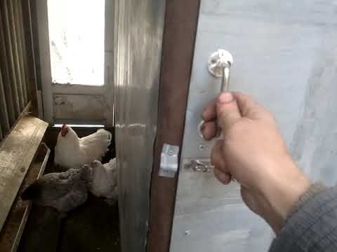 Видео: Самый бюджетный курятник.