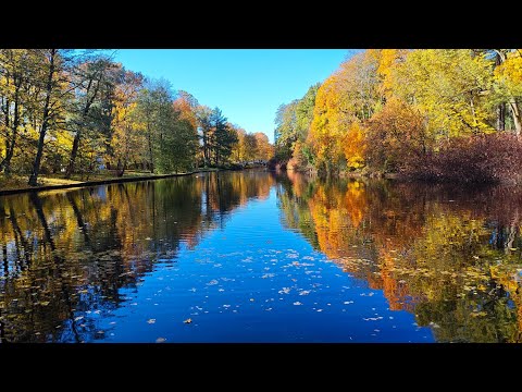 Видео: Парк ЦПКиО. СПб. 17.10.2025