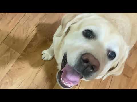 Видео: Коробки наше всё 🤗 Оля пришла к мальчику 