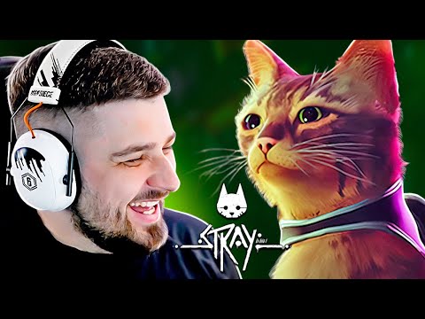 Видео: ВЫЖИВАНИЕ КОТА ПОСЛЕ АПОКАЛИПСИСА - STRAY ПРОХОЖДЕНИЕ #1