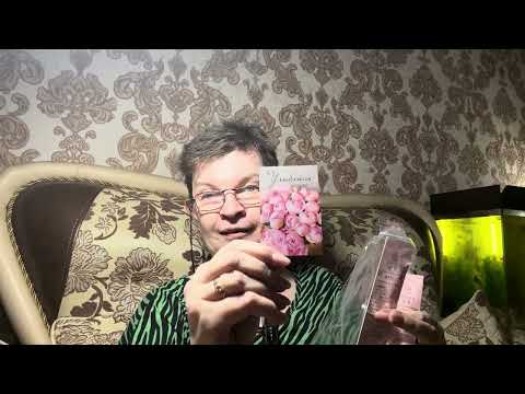 Видео: Крючки пришли. / Куртка успела придти. / 03.11.25. 