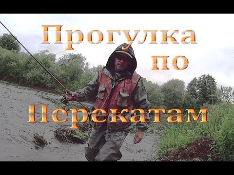 Видео: Прогулка по Перекатам ! Ловля белого хищника на течении ! ч.1