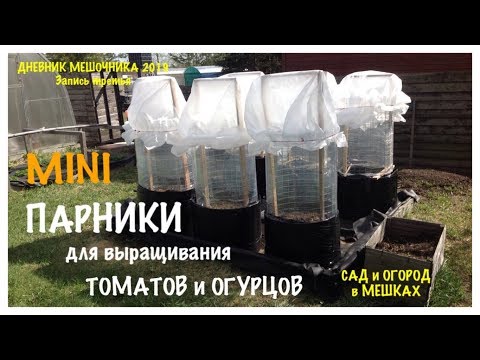 Видео: МИНИ ПАРНИКИ для выращивания ТОМАТОВ и ОГУРЦОВ.Дневник МЕШОЧНИКА 2019 Запись третья MINI GREENHOUSES