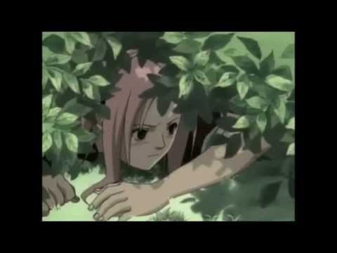 Видео: Сакура и Саске-О нем