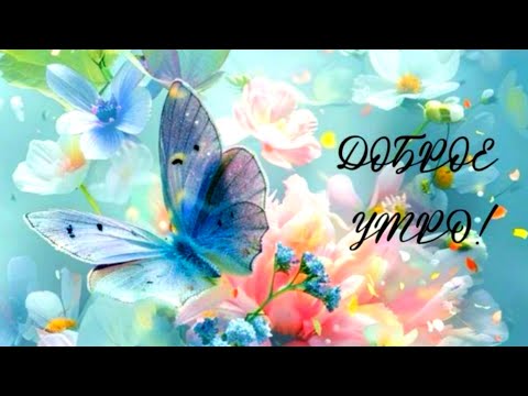 Видео: Утра доброго ! Солнечного дня!