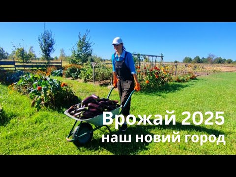 Видео: Смарт-город 2 сотки: ВРОЖАЙ ЯК З ГЕКТАРА!