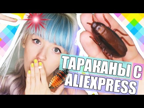 Видео: ТАРАКАН В ПОСЫЛКЕ! ALIEXPRESS! ТОВАРЫ ДЛЯ ДОМА!