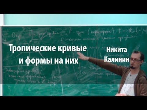 Видео: Тропические кривые и формы на них | Никита Калинин | Лекториум