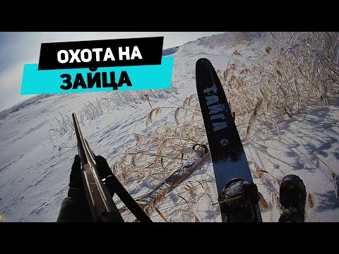 Видео: Охота на зайца, Балкашино-Мадениет