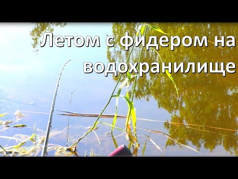 Видео: Рыбалка на фидер летом.