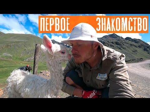 Видео: По дороге к Радужным горам | Путешествие по Перу | #19