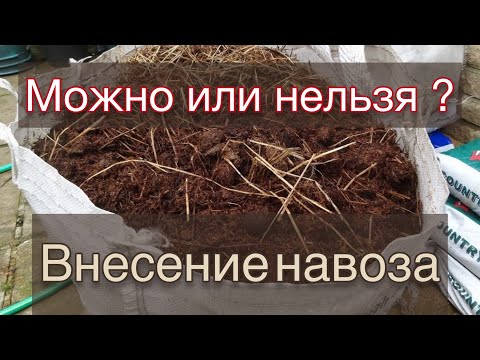 Видео: Вносить или не вносить навоз, перегной в розарий?