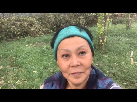 Видео: 🧷 611. «Экземпляры» на канале. ☝🏻🤨