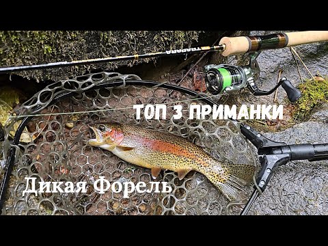 Видео: 3 Лучшие Приманки на ДИКУЮ ФОРЕЛЬ! Рыбалка в горной реке! #спиннинг #рыбалка #форель 