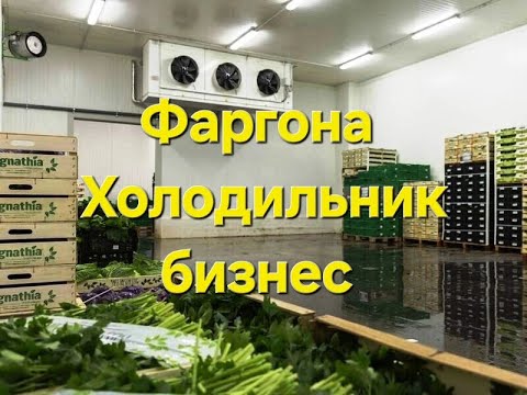Видео: Холодильник бизнес +998998274859 +998335098909 @XOLOD_UZ #холодильник