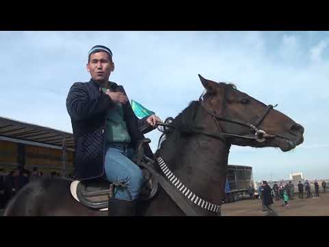 Видео: Астана каласы Анарбай кажы 70-жаска толуына арналган кокпар тойы 10 10 2021 Көкпар Астана