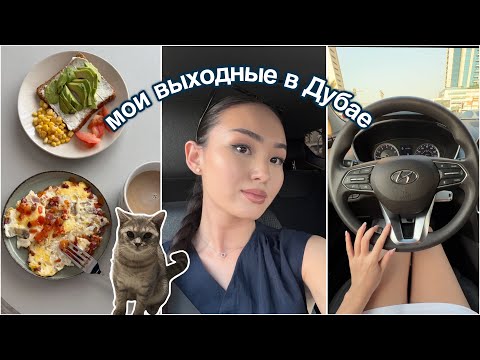 Видео: мои выходные в Дубае • рутина • мой кот 