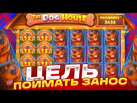 Видео: ИЩЕМ ПУТЬ К ЗАНОСУ, ДОРОГИЕ БОНУСКИ !! ТЕСТОВАЯ СЕССИЯ В THE DOG HOUSE MULTIHOLD ( ЗАНОСЫ НЕДЕЛИ )!