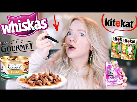Видео: ПРОБУЮ КОШАЧИЙ КОРМ! ЭТО ПИСОС.. ВЫЗОВ ПРИНЯТ ЕДА ДЛЯ КОШЕК ДЕШЕВО VS ДОРОГО