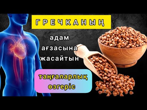 Видео: Күнде Қарақұмық (гречка) жесеңіз ағзада таңғаларлық өзгеріс