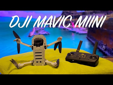 Видео: Обзор Dji Mavic Mini. Все плюсы и минусы