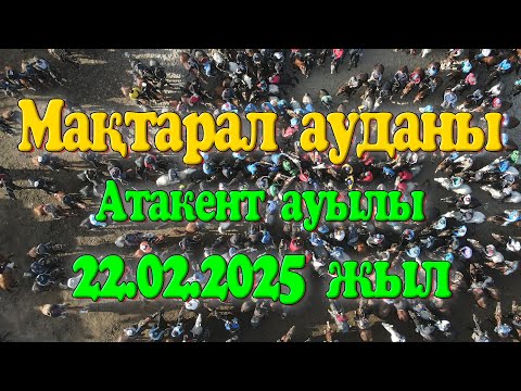 Видео: Мақтарал ауданы Атакент ауылы Шербек көкеміз немересі Әмірханға елден бата алу көкпар той 22.02.2025