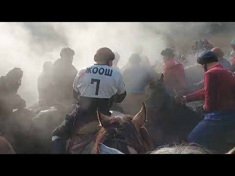 Видео: Фуркатта аламан улак