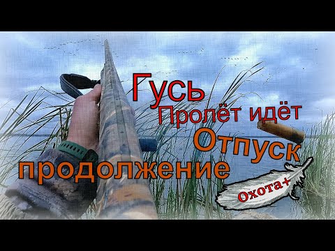 Видео: Гусь Пролёт идёт. Отпуск продолжение. 2 дня в палатке на озере