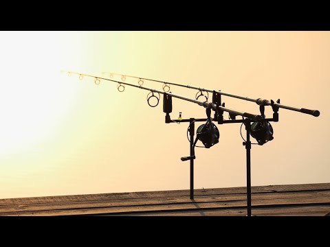 Видео: 24 часа на рыбалке с палаткой клюнул белый амур карп фишинг carp fishing