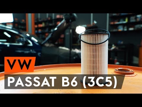 Видео: Как заменить топливный фильтр на VW PASSAT B6 (3C5) [ВИДЕОУРОК AUTODOC]