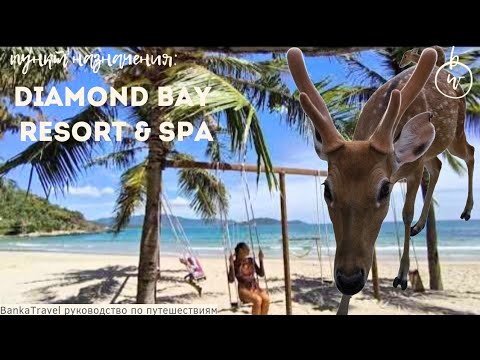 Видео: Отель с Оленями. Diamond Bay Condotel Resort Nha Trang. Обзор отеля. Пляж Ан-Вьен Nhu Tien Beach