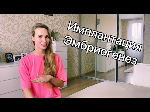 Видео: Эмбриогенез.  Имплантация