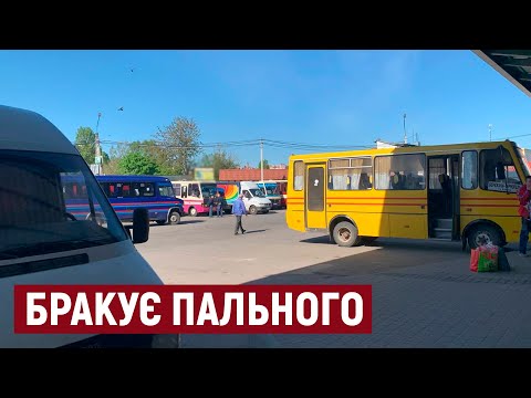 Видео: Третину рейсів з Тернопільського автовокзалу відмінили