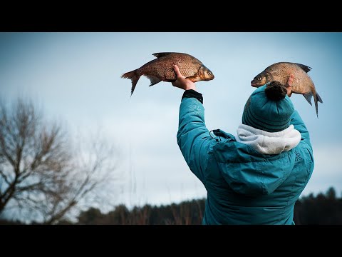 Видео: ФИДЕР В ДЕКАБРЕ ! Проверка старых уловистых мест. ЛЕЩ есть и зимой.