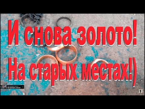 Видео: И опять золото на старых местах.