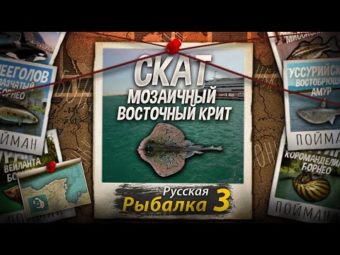 Видео: "Мутант" Скат Мозаичный. Восточный Крит. Русская Рыбалка 3.