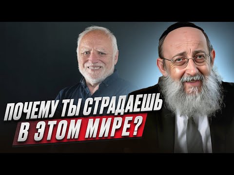 Видео: Почему ты страдаешь в этом мире? Рав Ашер Кушнир