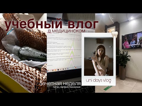 Видео: зачётная неделя в медицинском part 1 | патан, патфиз, биохимия