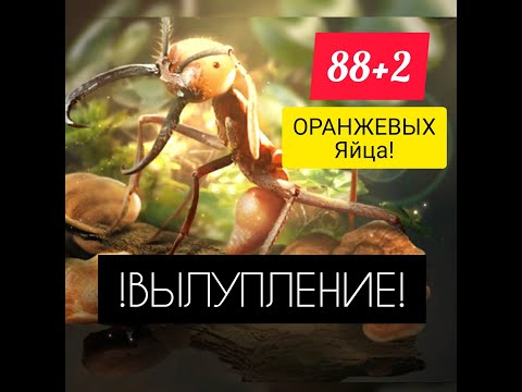 Видео: 90 ОРАНЖЕВЫХ ЯИЦ! КТО МНЕ ВЫПАДЕТ? The Ants: Underground Kingdom