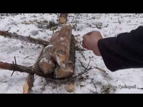Видео: Нодья из трёх брёвен | кафедра охотоведения | охотовед.pw