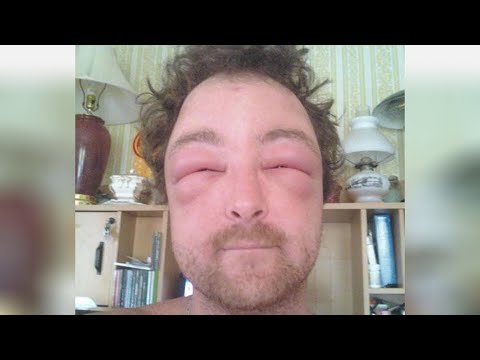 Видео: Я ржал до слез 😂 30 Минут смеха 2024 Смешные видео Лучшие Лютые ПРИКОЛЫ Декабрь!Подборка #181