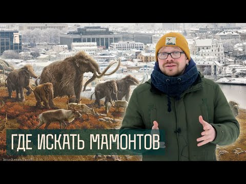 Видео: Мы заняли их Минск?! Кто жил здесь до человека